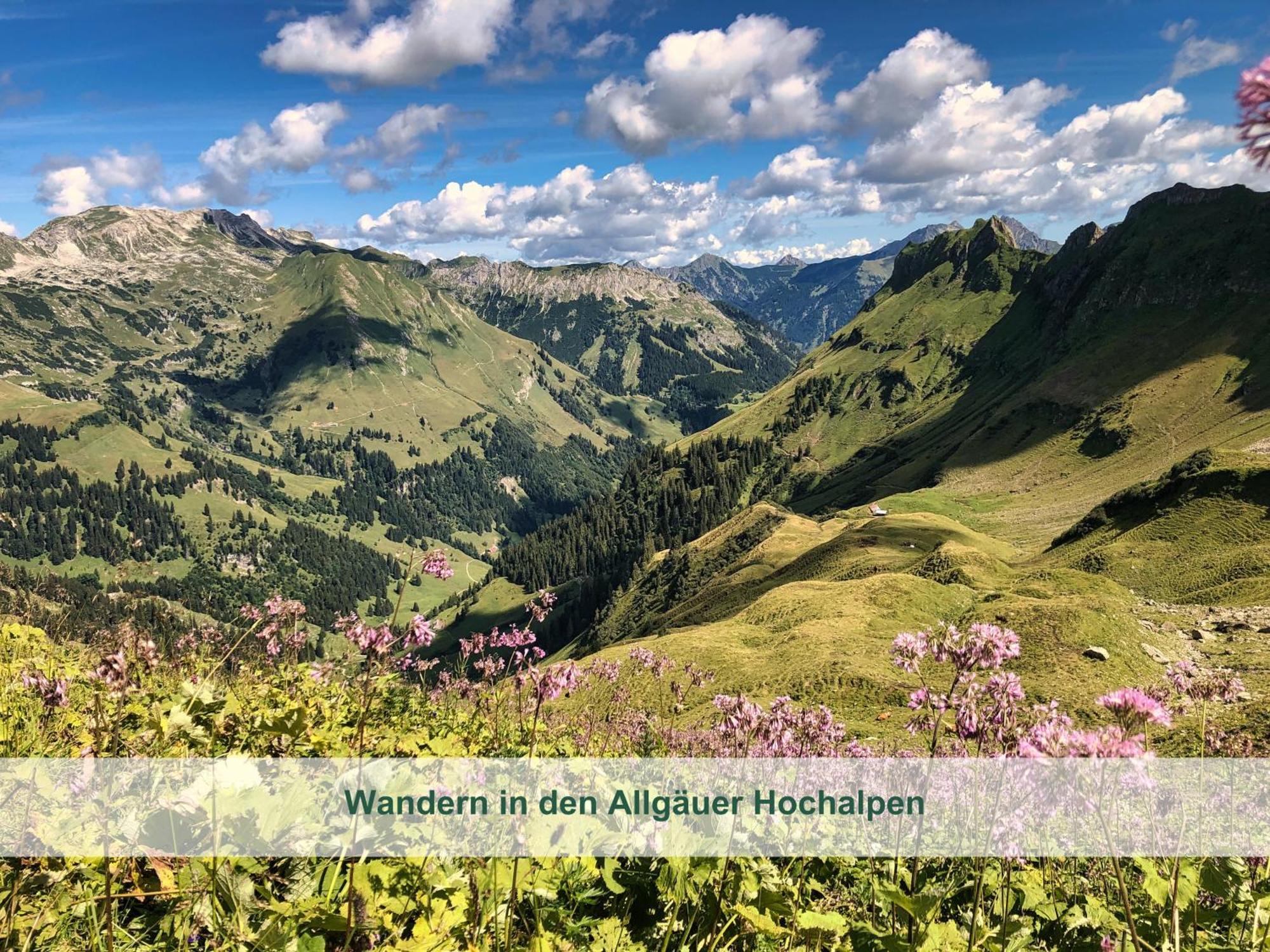 Chalet - Ferienwohnungen - Biohof Stoeger - Panoramasuedbalkon - Grandiose Aussicht Auf See, Berge Und Schloss Neuschwanstein Rieden Bagian luar foto