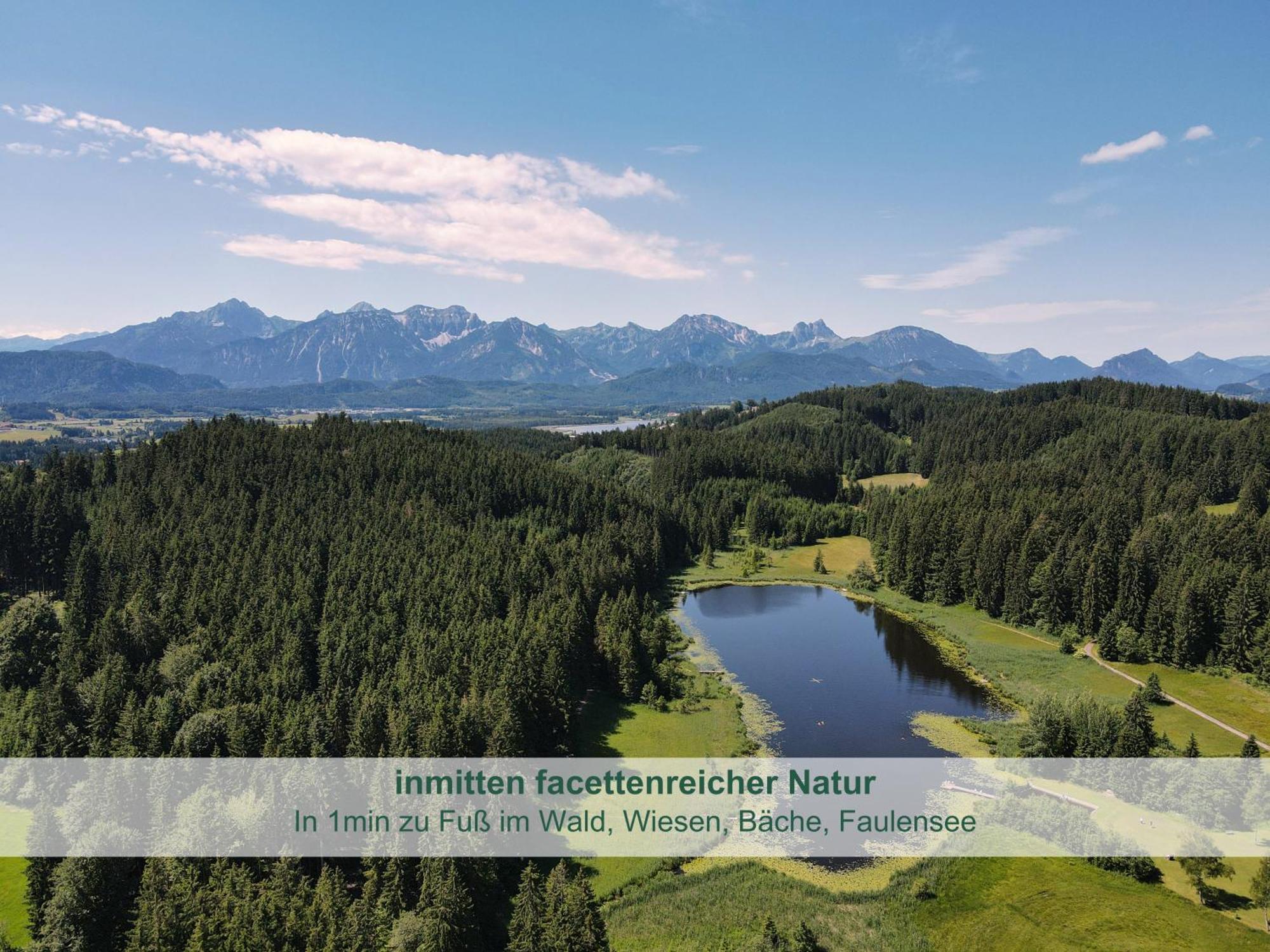 Chalet - Ferienwohnungen - Biohof Stoeger - Panoramasuedbalkon - Grandiose Aussicht Auf See, Berge Und Schloss Neuschwanstein Rieden Bagian luar foto