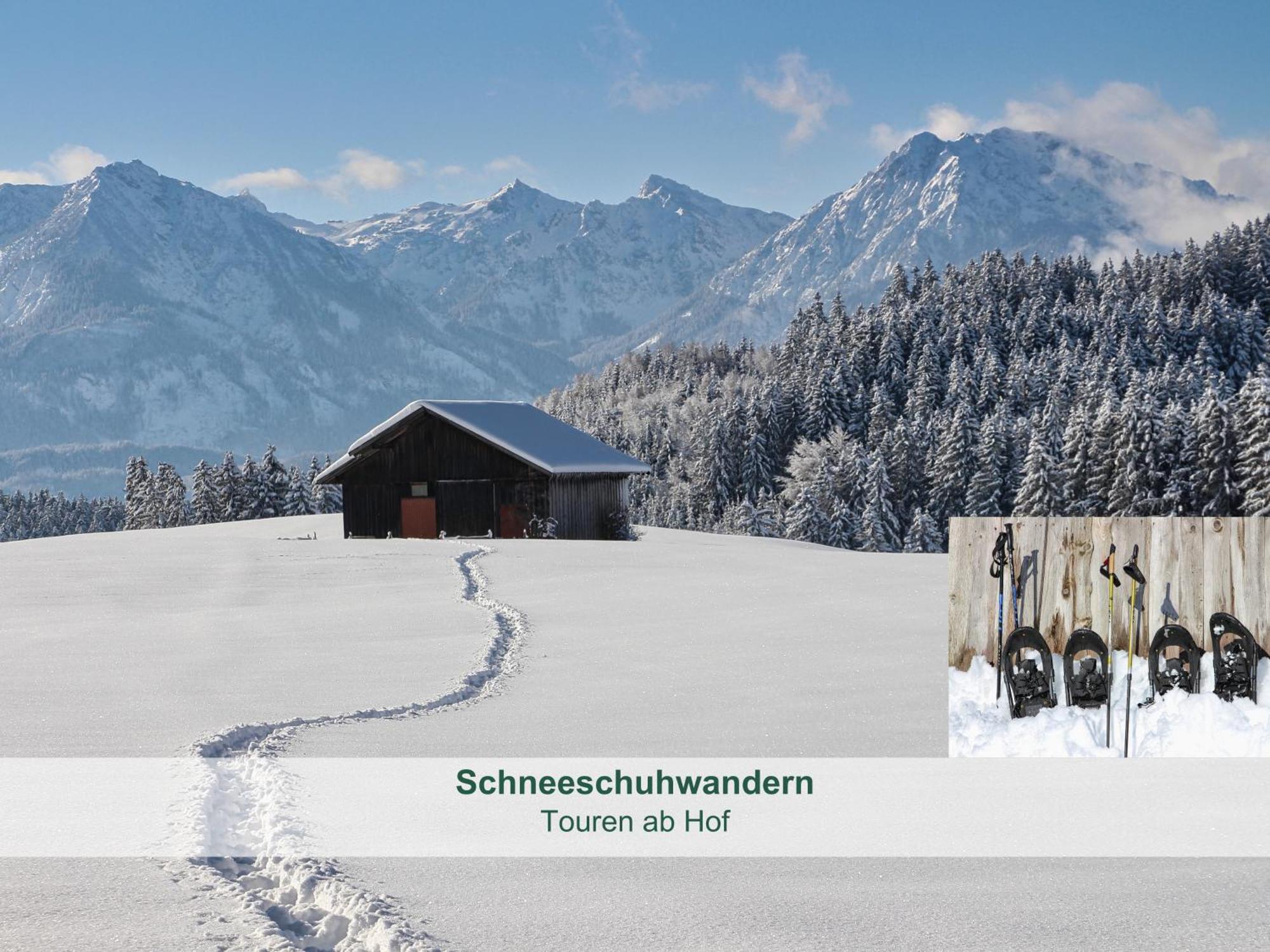 Chalet - Ferienwohnungen - Biohof Stoeger - Panoramasuedbalkon - Grandiose Aussicht Auf See, Berge Und Schloss Neuschwanstein Rieden Bagian luar foto