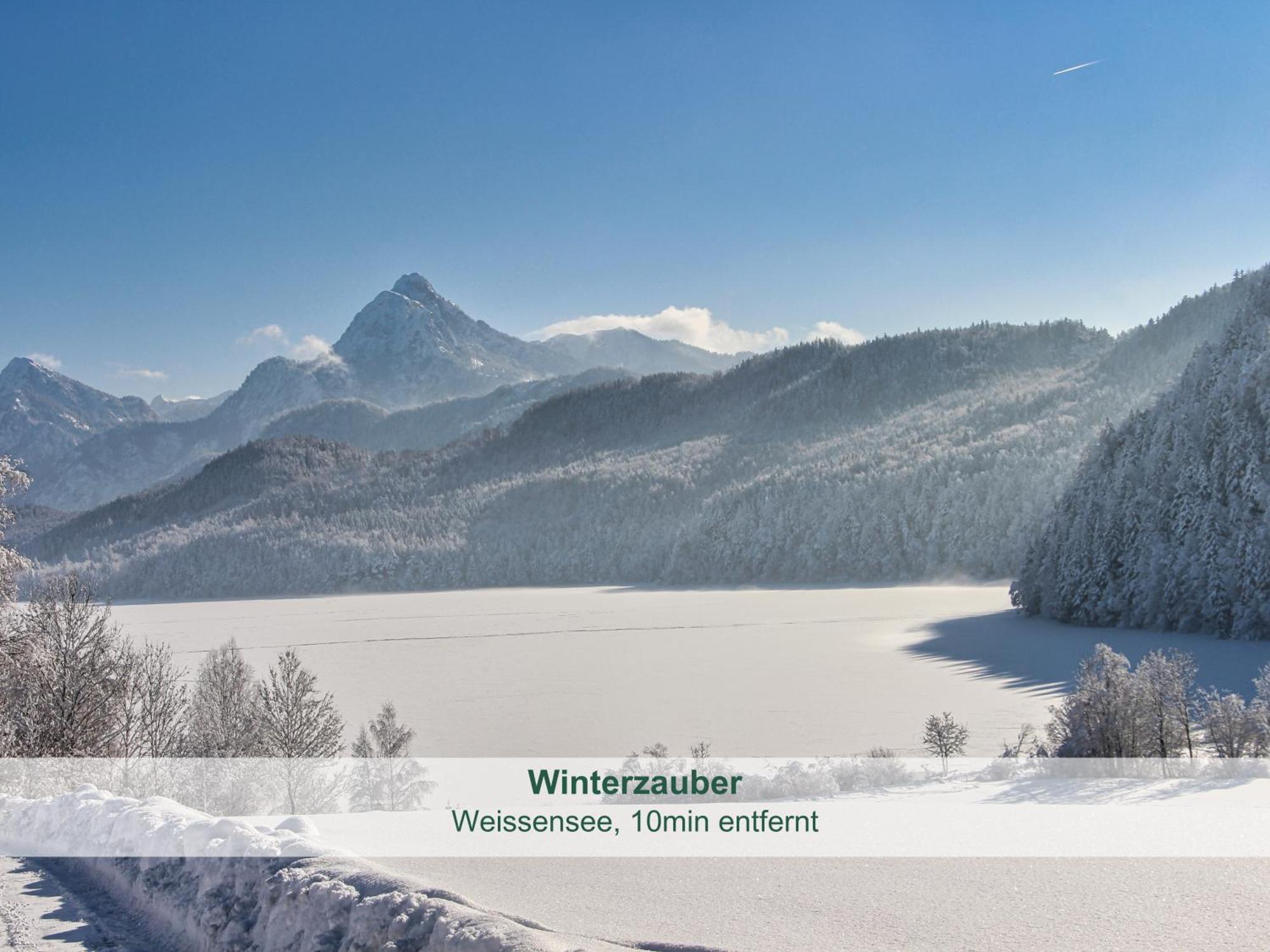 Chalet - Ferienwohnungen - Biohof Stoeger - Panoramasuedbalkon - Grandiose Aussicht Auf See, Berge Und Schloss Neuschwanstein Rieden Bagian luar foto