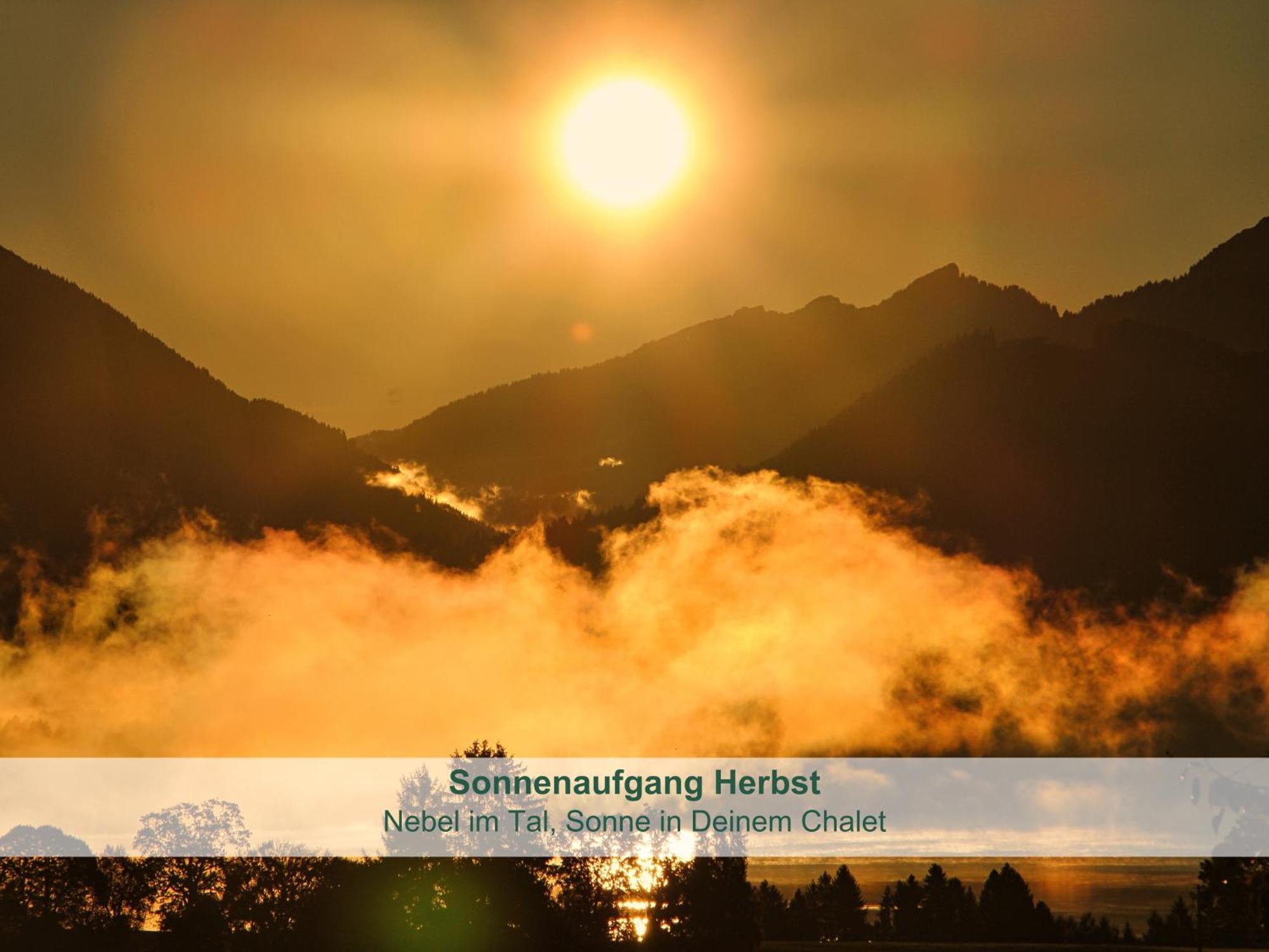 Chalet - Ferienwohnungen - Biohof Stoeger - Panoramasuedbalkon - Grandiose Aussicht Auf See, Berge Und Schloss Neuschwanstein Rieden Bagian luar foto